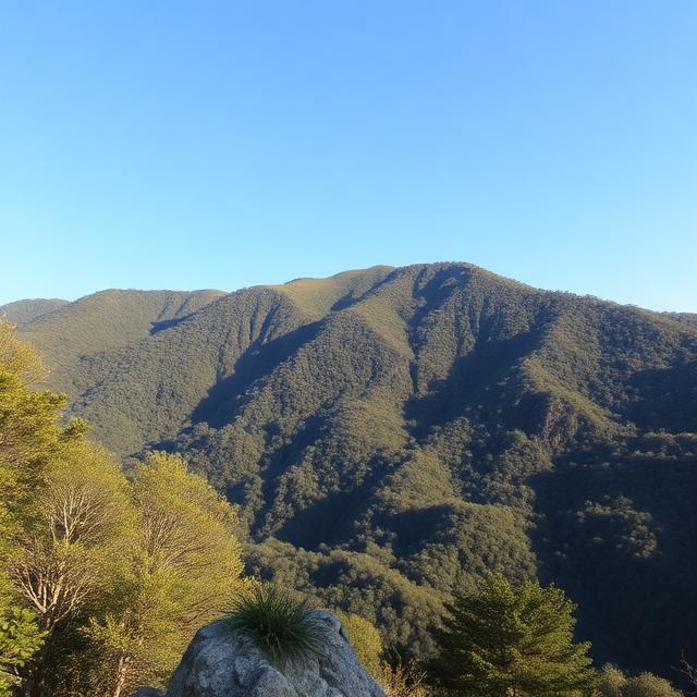 The Hydration Myth: Why Plain Water Is Not Enough and How to Restore the Electrolyte Balance Your Body Actually Needs